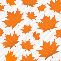 Orange maple leaves seamless pattern, a background of gray lines