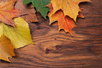 Leaves on the board