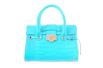 Elegant woman bag isolated on white