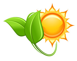 Sun and green leaves