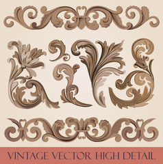 Vintage floral design elements collection. Luxury Vector.