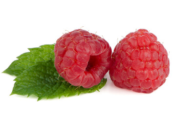 Ripe red raspberry