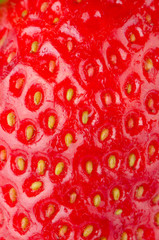 Macro of a strawberry texture