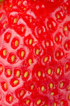 Macro of a strawberry texture