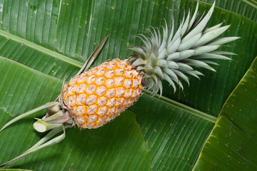 Fresh Pineapple on a banana leaf