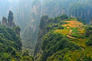 Poster Zhangjiajie natural scenery in China ( Heavenly Garden ) © wusuowei