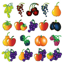 fruit set