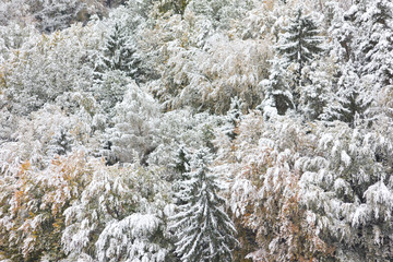 Schneefall im Herbst