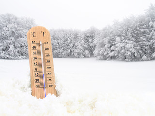 Thermometer in the snow