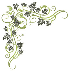 Blätter, Laub, Ranke, Weinblätter, Wein, grün, oliv