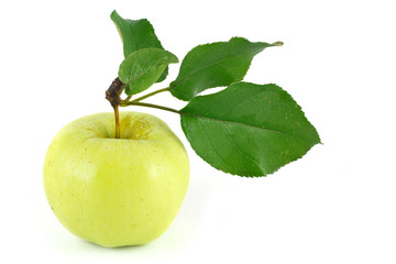 green apple isolated on white background