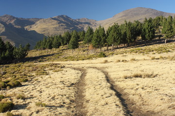 footpath across dry grassland in Sierra Nevada National Park