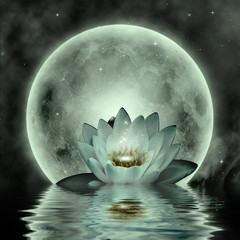 Abstract background with lotus flower