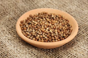 Heap coriander seeds in bowl on canvas background close-up