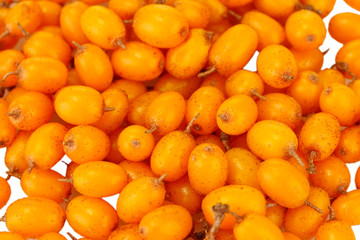 ripe sea buckthorn background close-up