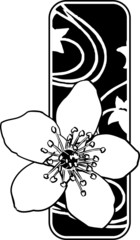 Cherry blossom, sakura, vector