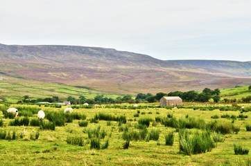 Stone built barn in a moorland setting with sheep.
