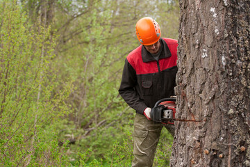 Cutting the tree