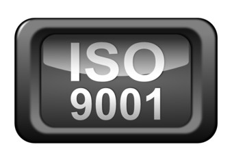 Iso 9001, Vektor