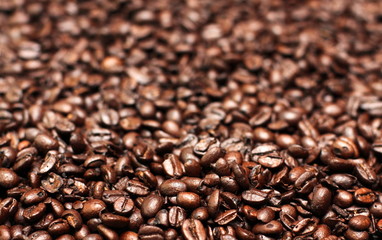 Сoffee beans