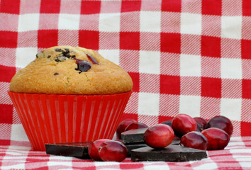 Muffin mit Schokolade und Cranberries