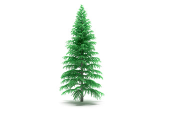 Fir-tree