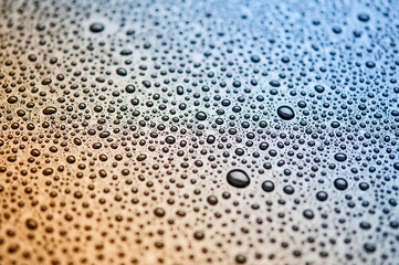 water droplets are colorful