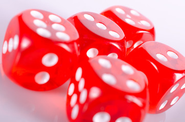 Red dice isolated on white background