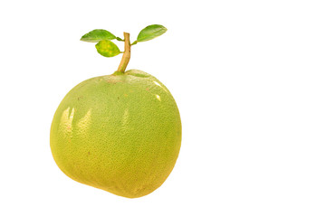 pomelo