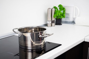 Pot in modern kitchen with induction stove