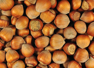 Hazelnuts