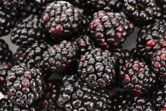 background of beautiful blackberries