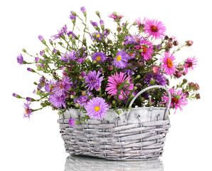 beautiful bouquet of purple flowers in basket isolated on white