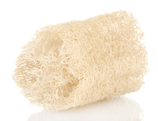 Loofah isolated on white