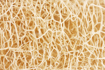 loofah background