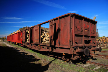 Freight wagon full of timber