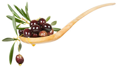 olives and loive oil