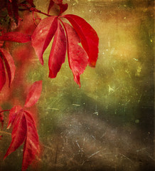 Autumn leaves - grunge background