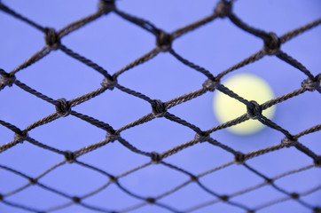 Fototapeta premium ¡¡La red es el límite!!