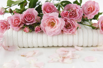 Obraz na płótnie Canvas Różowa róża na oddział tle miękkich ręczników