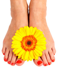 pedicure feet of a young woman