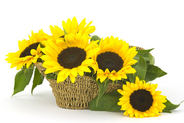 Obraz premium Beautiful sunflower bouquet in a basket (Helianthus)