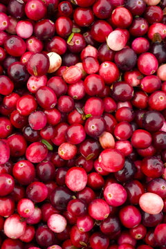 Cranberries