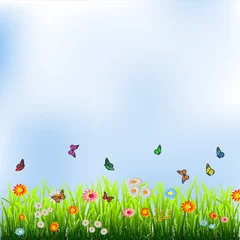 Photo sur Plexiglas Papillon Herbe verte, fleurs et papillons