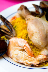 closeup of prawn