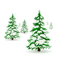 Weihnachtsbäume, Tannenbäume, Wald, Schnee, zugeschneit, bedeckt