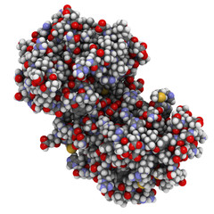 p38 MAP kinase protein, chemical structure