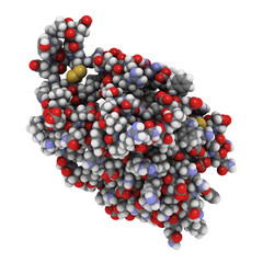 Interleukin 6 (IL-6) molecule, chemical structure