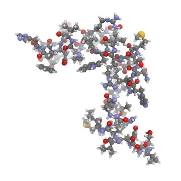 Human parathyroid hormone (PTH, parathormone, parathyrin), chemi