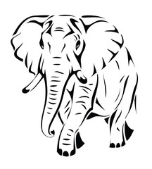 Isolated elephant - vector illustration